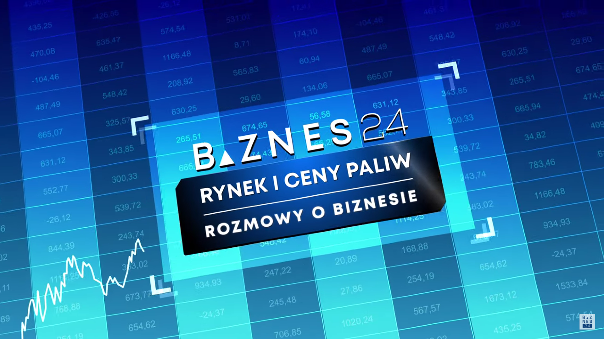 Rynek i Ceny Paliw. Debata w telewizji BIZNES24
